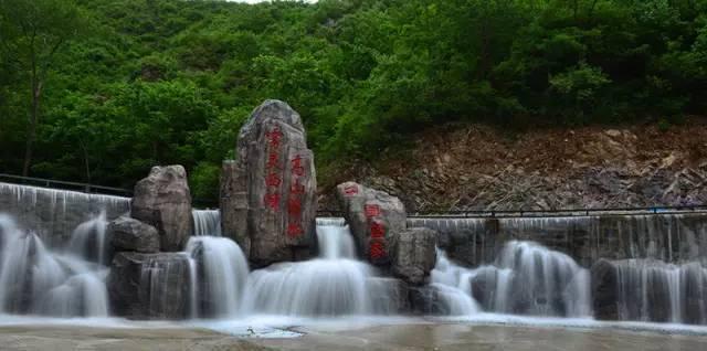 解答疑问轻松有红萝卜怎么做好吃?